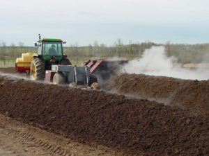 Composting 2002 017 1 300x225 1