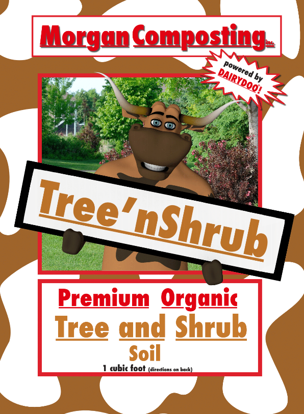 TreenShrub