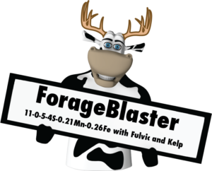 ForageBlasterAntlerMarty 300x242 1