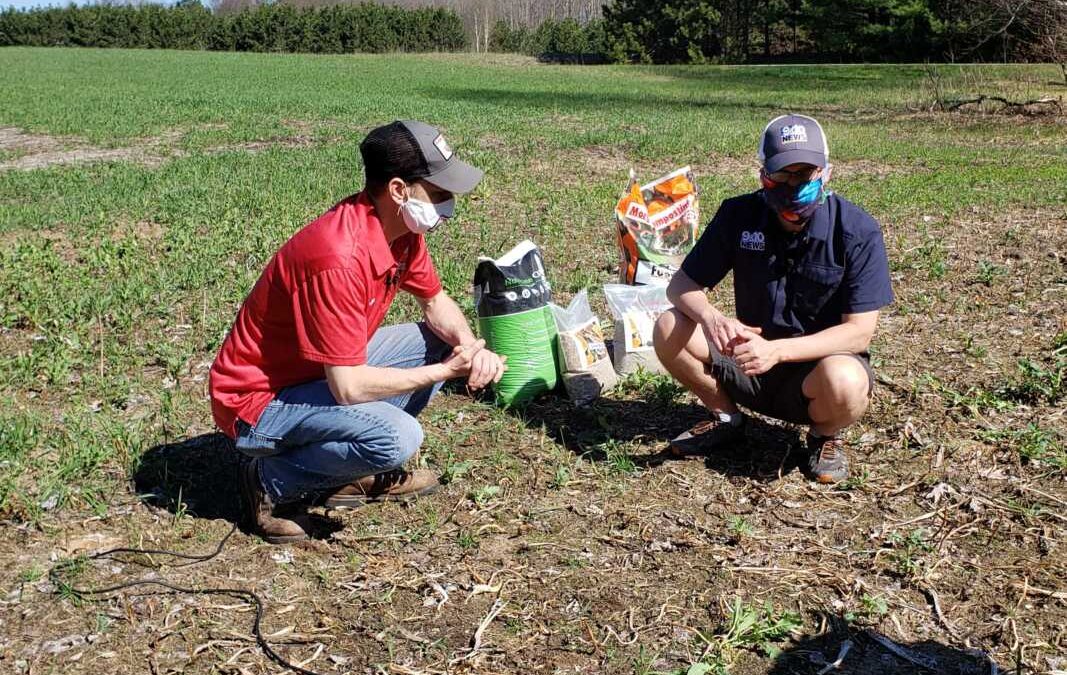 What’s Growing With Tom 2020: Making Your Food Plot Plans
