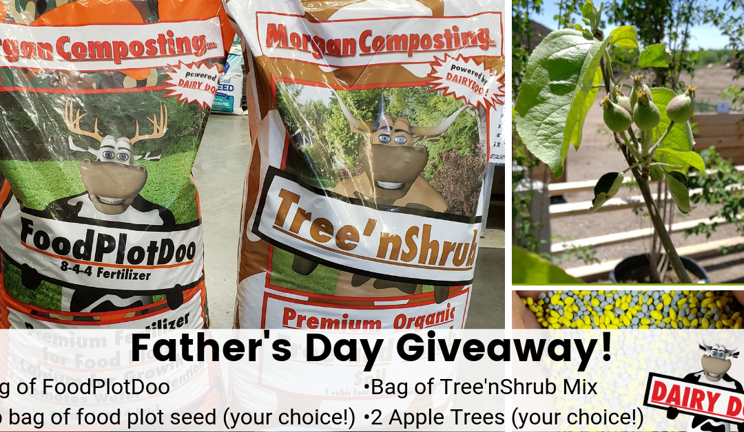 Father’s Day Giveaway Contest!