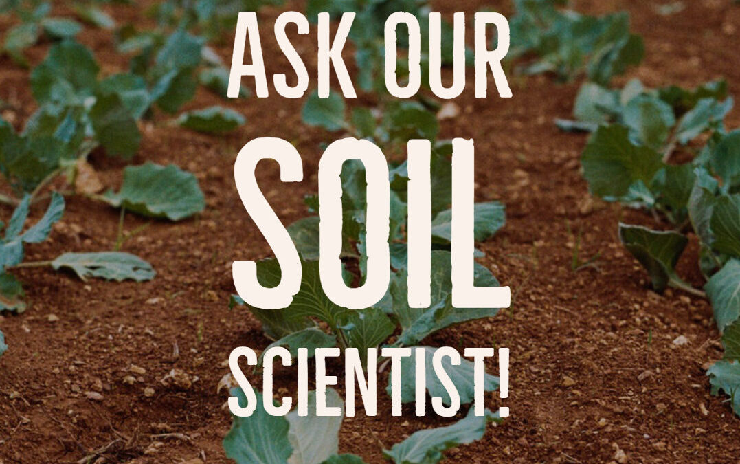 What’s Growing With Tom Week 13: Ask Our Soil Scientist!